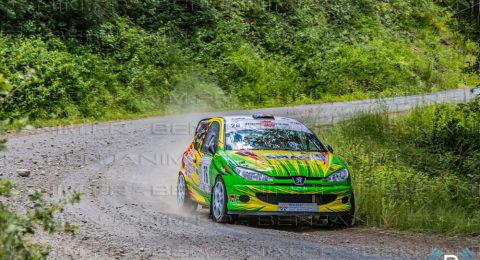 2024-06-01 Rallye Laragnais - 135