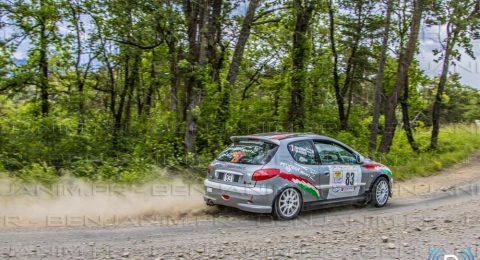 2024-06-01 Rallye Laragnais - 230